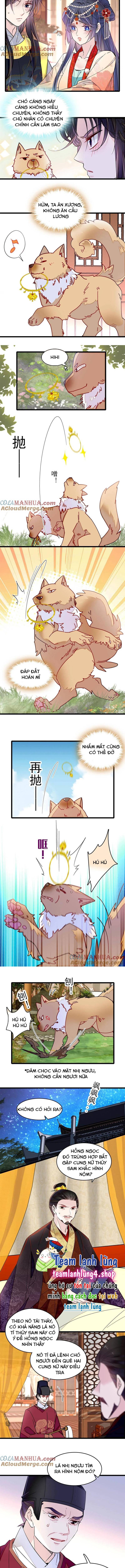Tự Cẩm - Chap 260