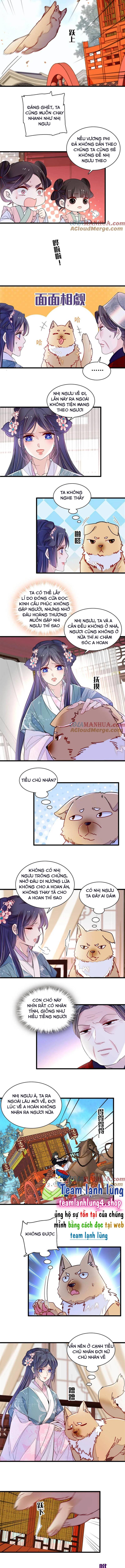 Tự Cẩm - Chap 279