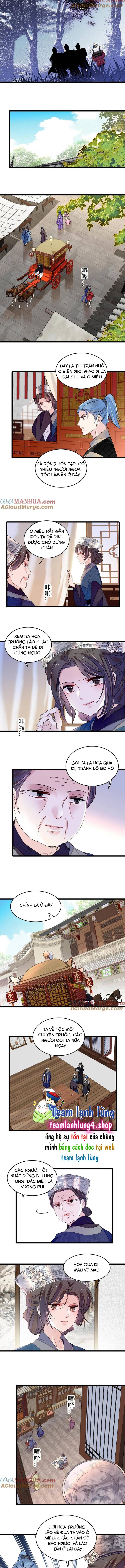 Tự Cẩm - Chap 284