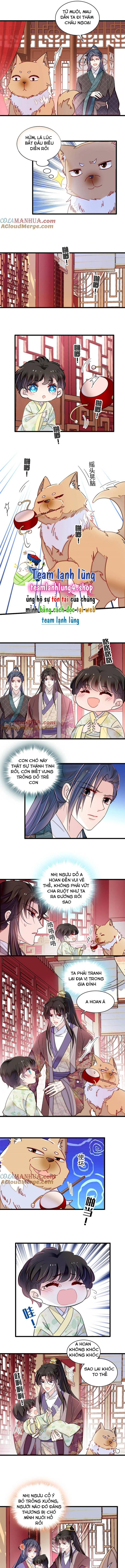 Tự Cẩm - Chap 304