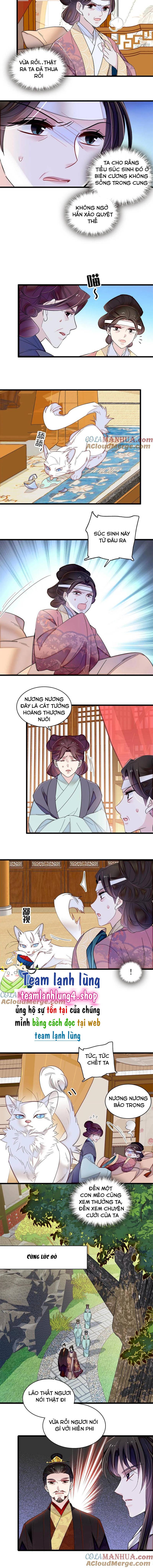 Tự Cẩm - Chap 309