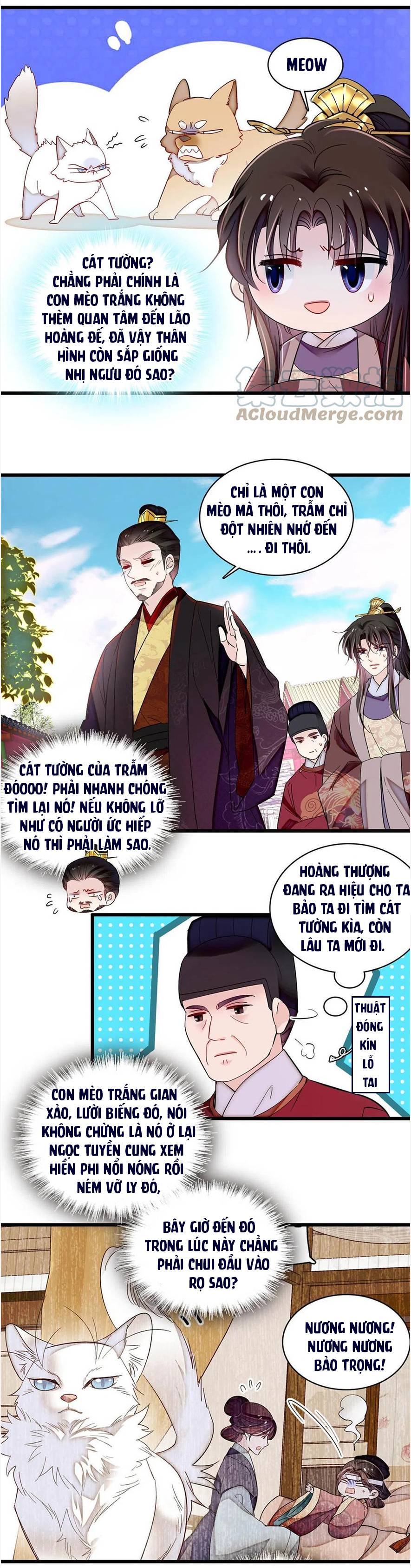 Tự Cẩm - Chap 310