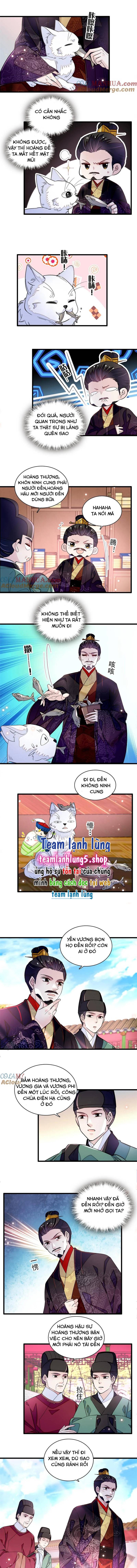 Tự Cẩm - Chap 323