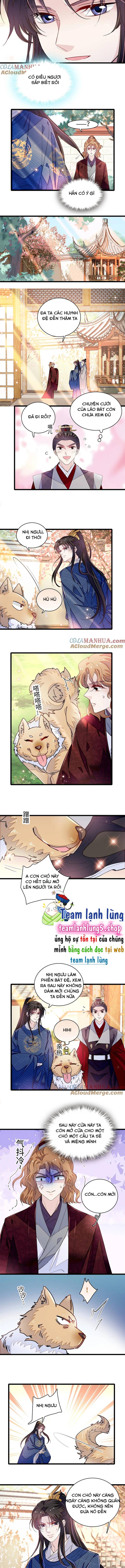 Tự Cẩm - Chap 330