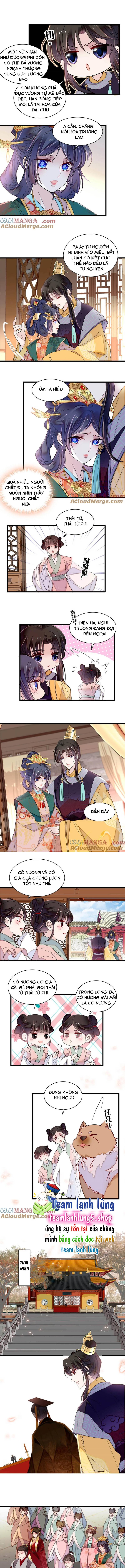 Tự Cẩm - Chap 375