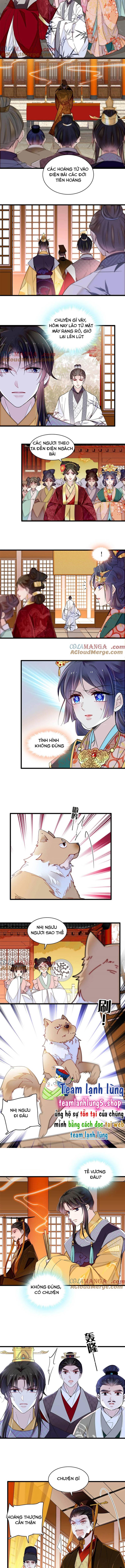 Tự Cẩm - Chap 375