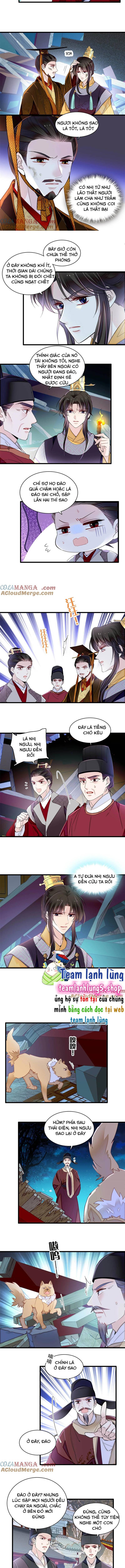 Tự Cẩm - Chap 379