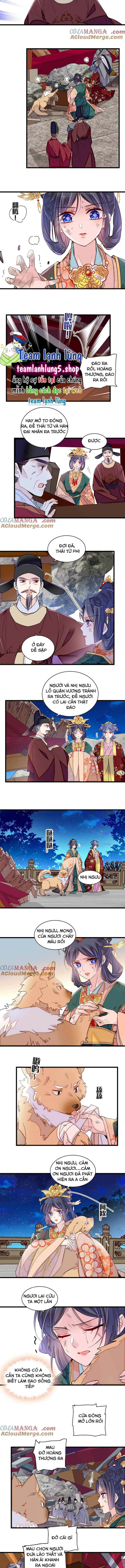 Tự Cẩm - Chap 381