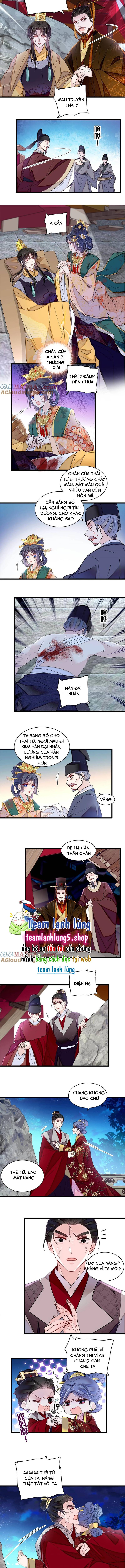 Tự Cẩm - Chap 381