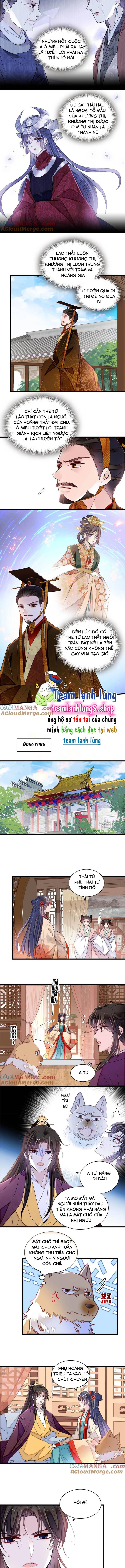 Tự Cẩm - Chap 385
