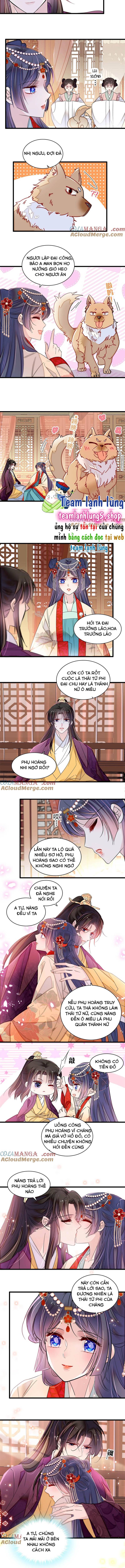 Tự Cẩm - Chap 385