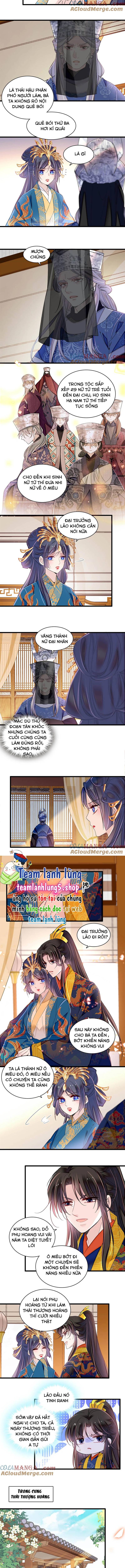 Tự Cẩm - Chap 386