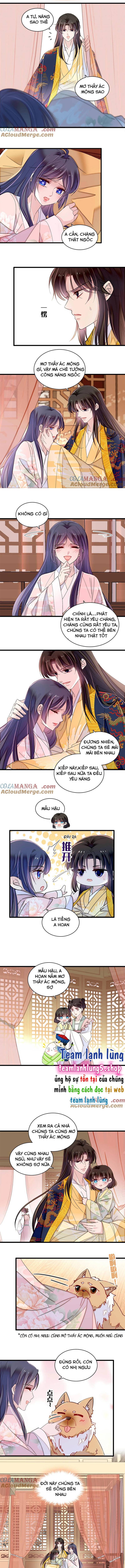 Tự Cẩm - Chap 388