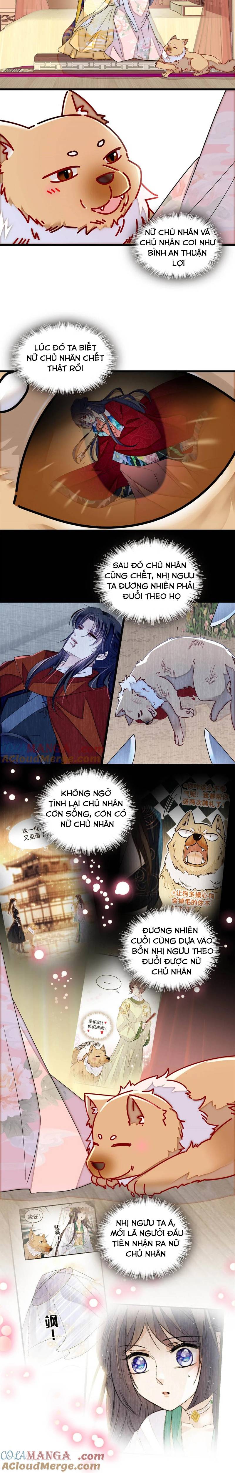 Tự Cẩm - Chap 388