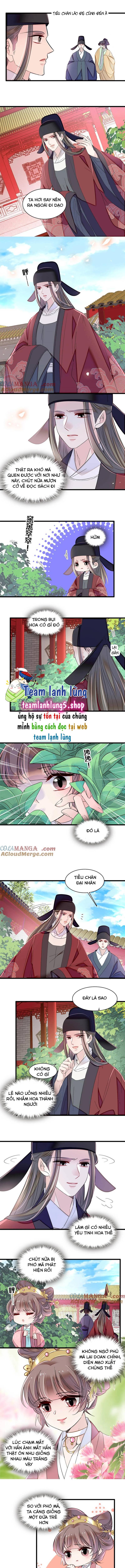 Tự Cẩm - Chap 389