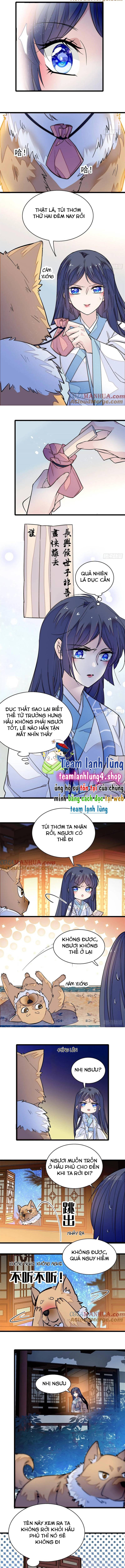 Tự Cẩm - Chap 47