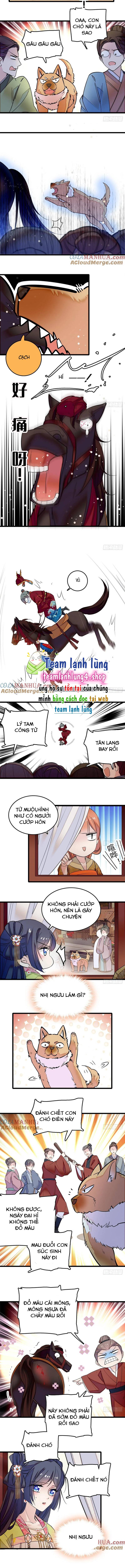 Tự Cẩm - Chap 49