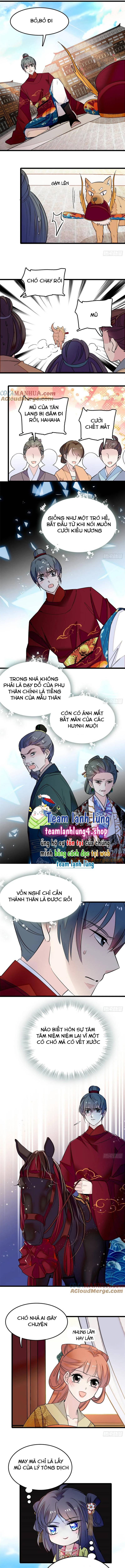 Tự Cẩm - Chap 49