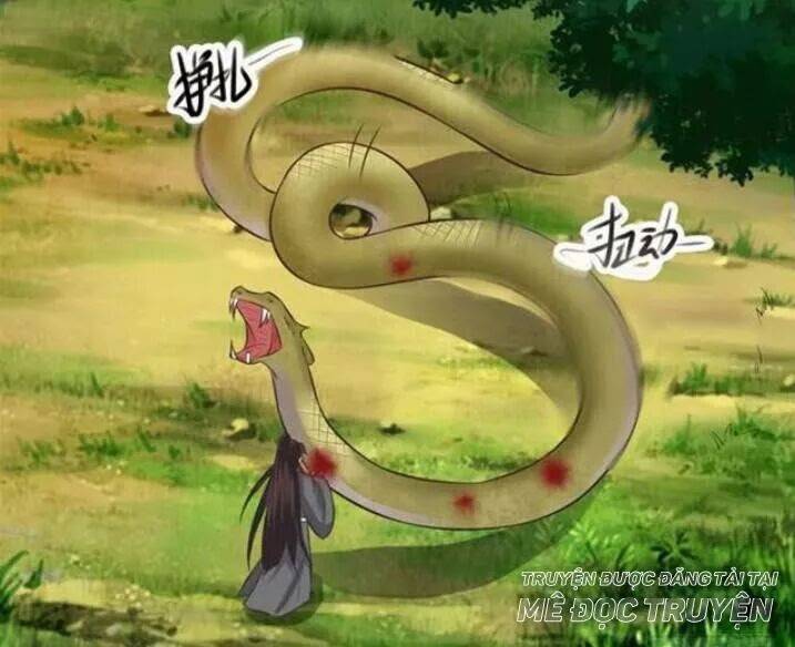 Tuyệt Sắc Quyến Rũ: Quỷ Y Chí Tôn - Chap 119