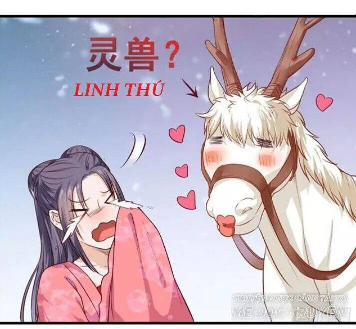 Tuyệt Sắc Quyến Rũ: Quỷ Y Chí Tôn - Chap 125