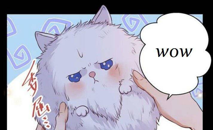 Tuyệt Sắc Quyến Rũ: Quỷ Y Chí Tôn - Chap 137