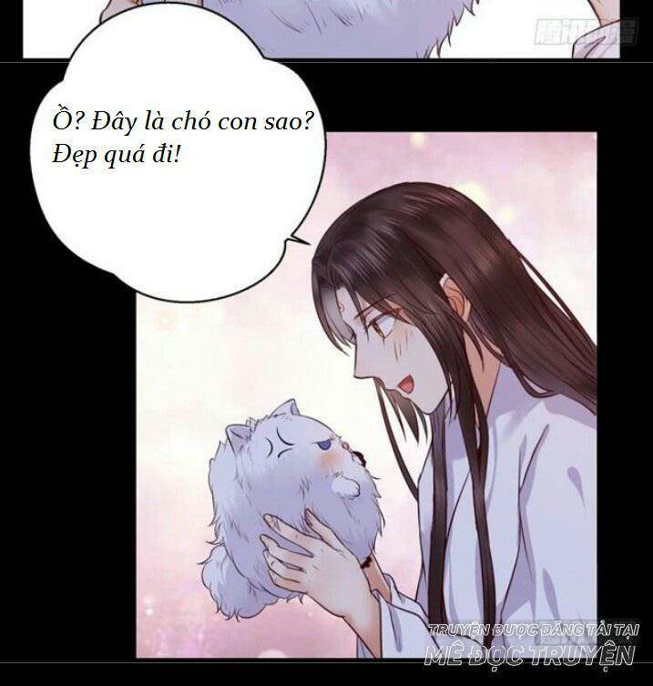 Tuyệt Sắc Quyến Rũ: Quỷ Y Chí Tôn - Chap 137