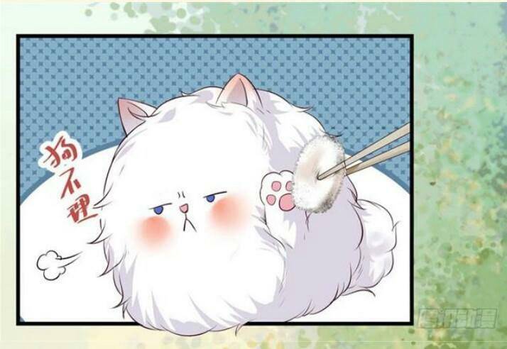 Tuyệt Sắc Quyến Rũ: Quỷ Y Chí Tôn - Chap 137