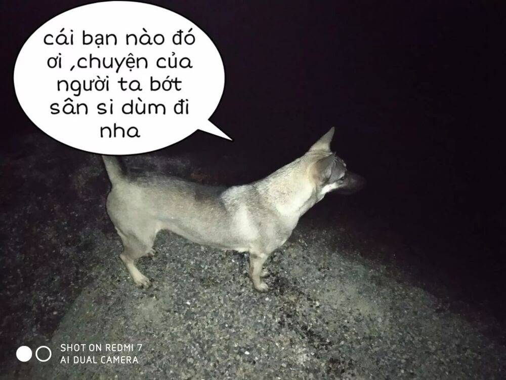 Tuyệt Sắc Quyến Rũ: Quỷ Y Chí Tôn - Chap 152