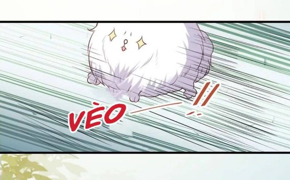 Tuyệt Sắc Quyến Rũ: Quỷ Y Chí Tôn - Chap 163