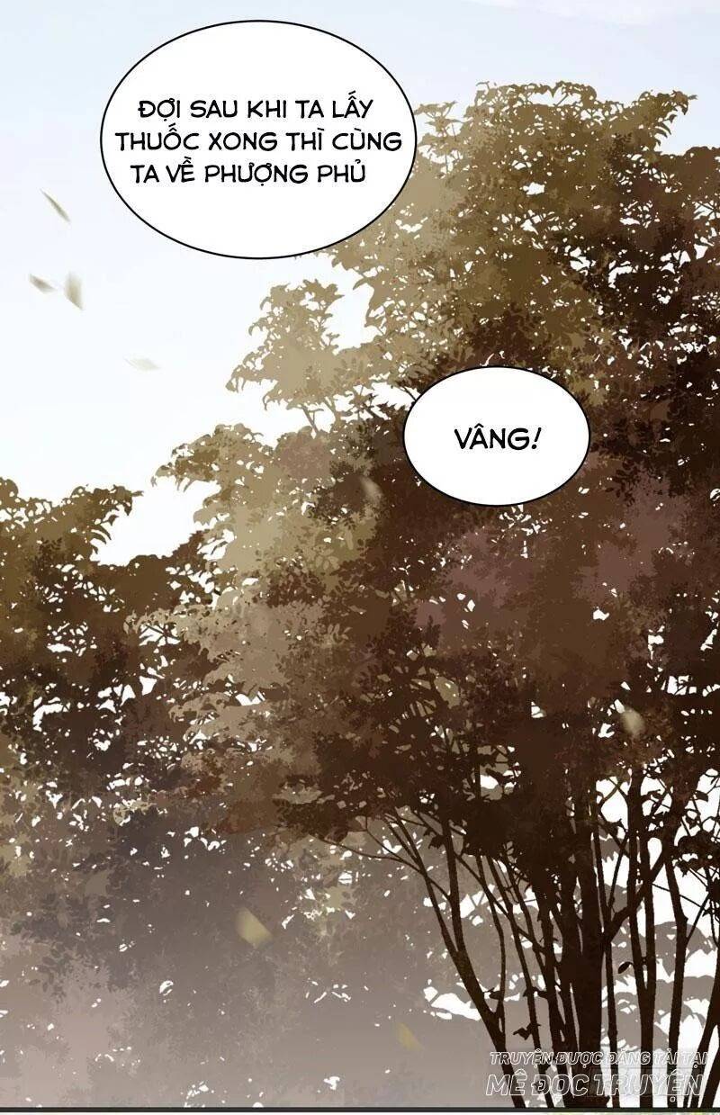 Tuyệt Sắc Quyến Rũ: Quỷ Y Chí Tôn - Chap 170