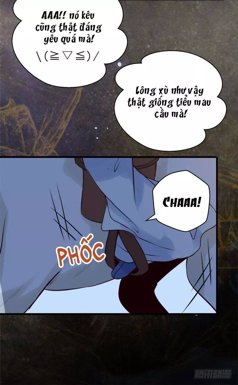 Tuyệt Sắc Quyến Rũ: Quỷ Y Chí Tôn - Chap 173