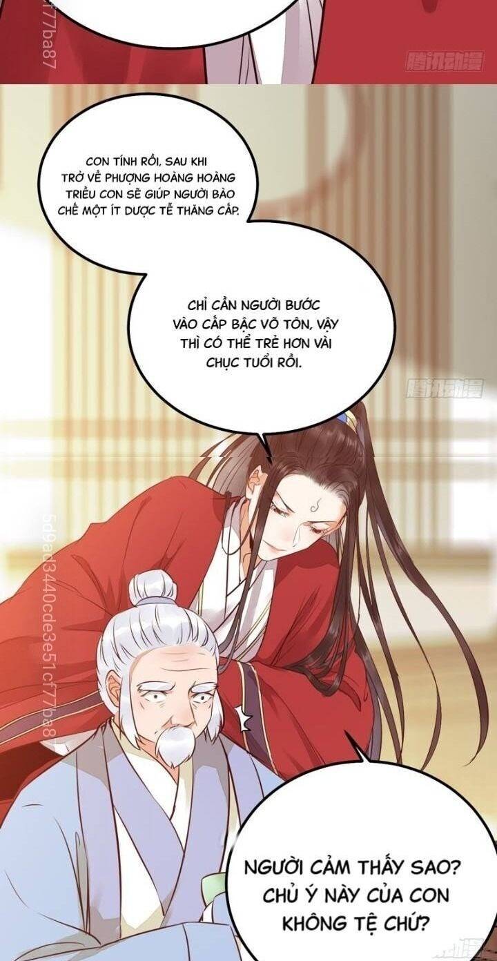 Tuyệt Sắc Quyến Rũ: Quỷ Y Chí Tôn - Chap 215