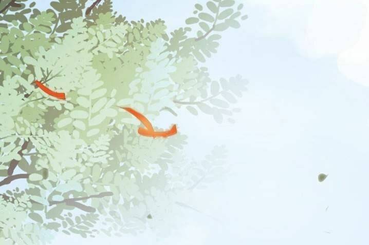 Tuyệt Sắc Quyến Rũ: Quỷ Y Chí Tôn - Chap 221