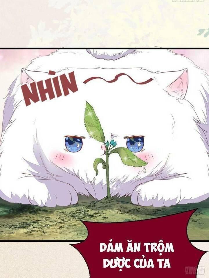 Tuyệt Sắc Quyến Rũ: Quỷ Y Chí Tôn - Chap 253