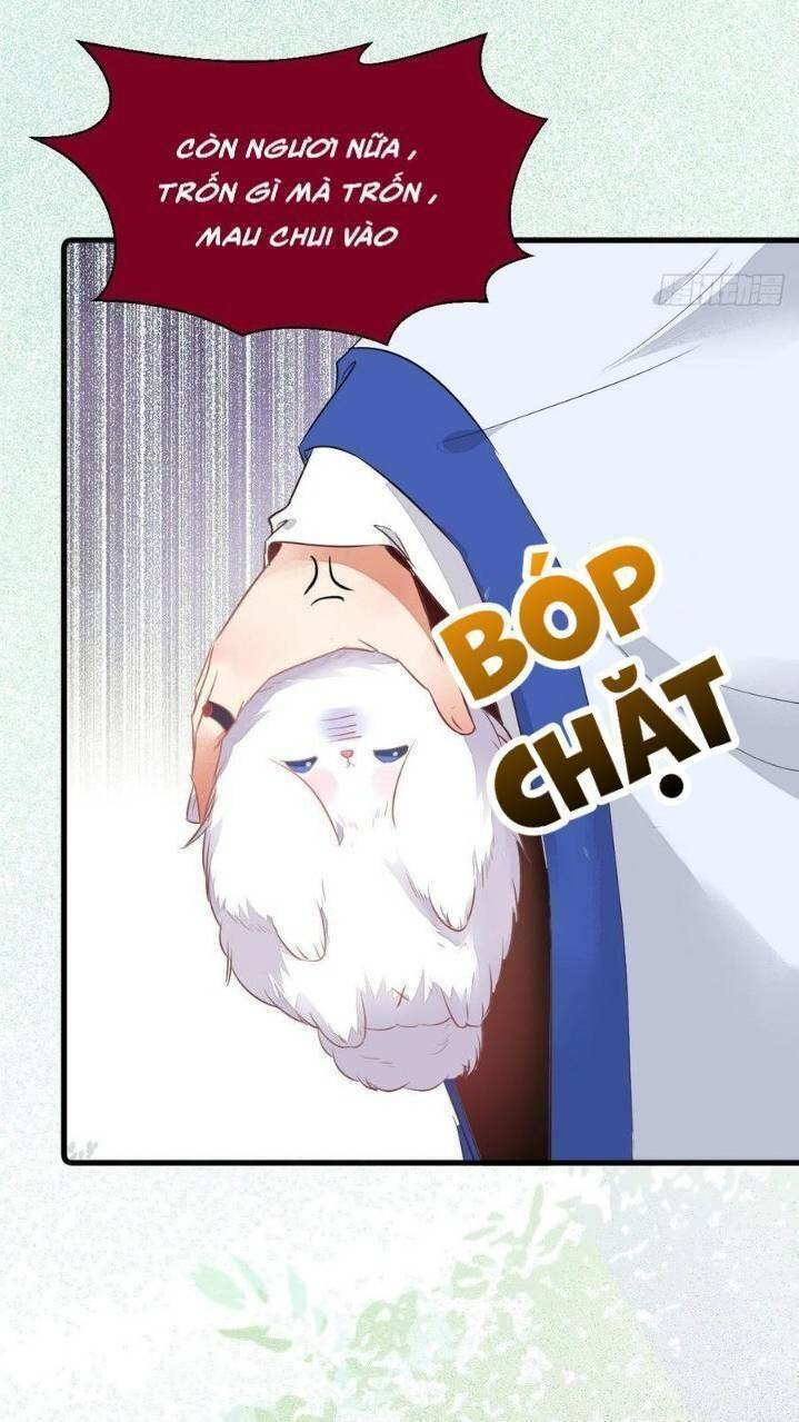 Tuyệt Sắc Quyến Rũ: Quỷ Y Chí Tôn - Chap 260