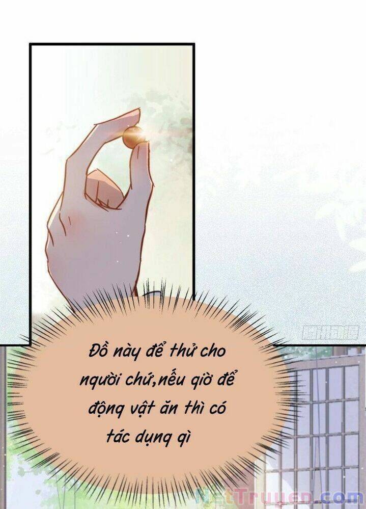 Tuyệt Sắc Quyến Rũ: Quỷ Y Chí Tôn - Chap 262