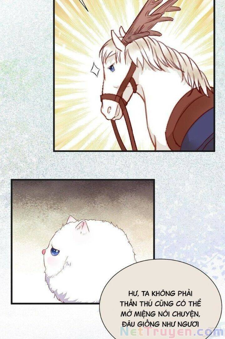 Tuyệt Sắc Quyến Rũ: Quỷ Y Chí Tôn - Chap 263