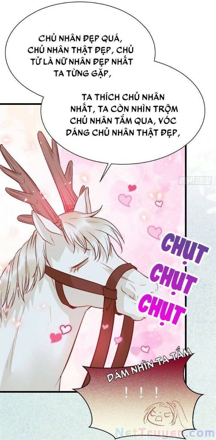 Tuyệt Sắc Quyến Rũ: Quỷ Y Chí Tôn - Chap 263