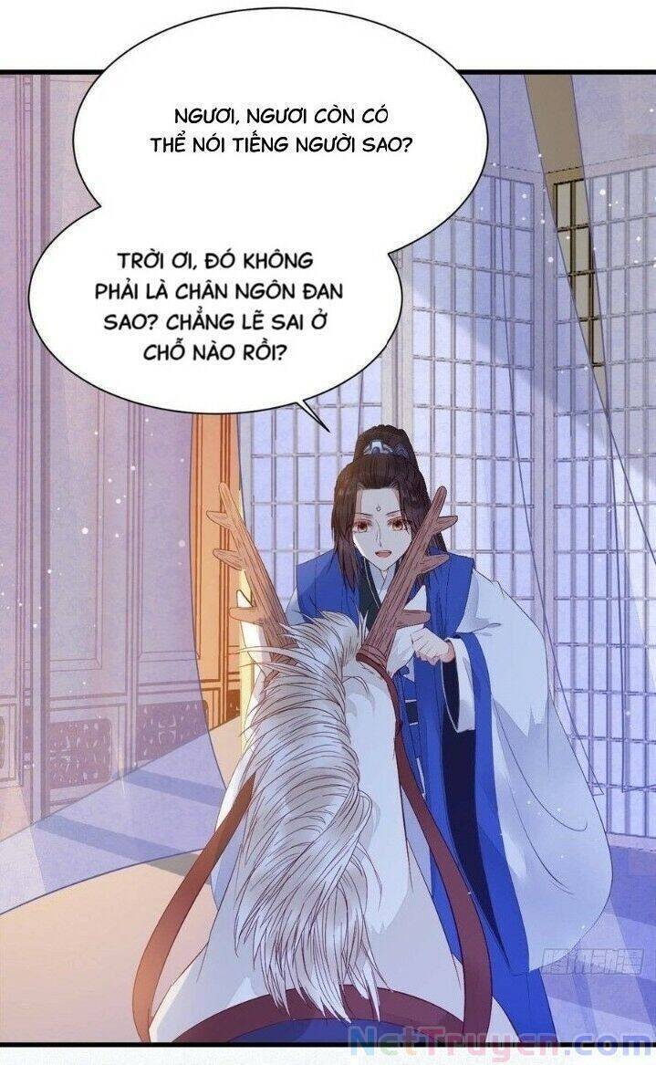 Tuyệt Sắc Quyến Rũ: Quỷ Y Chí Tôn - Chap 263