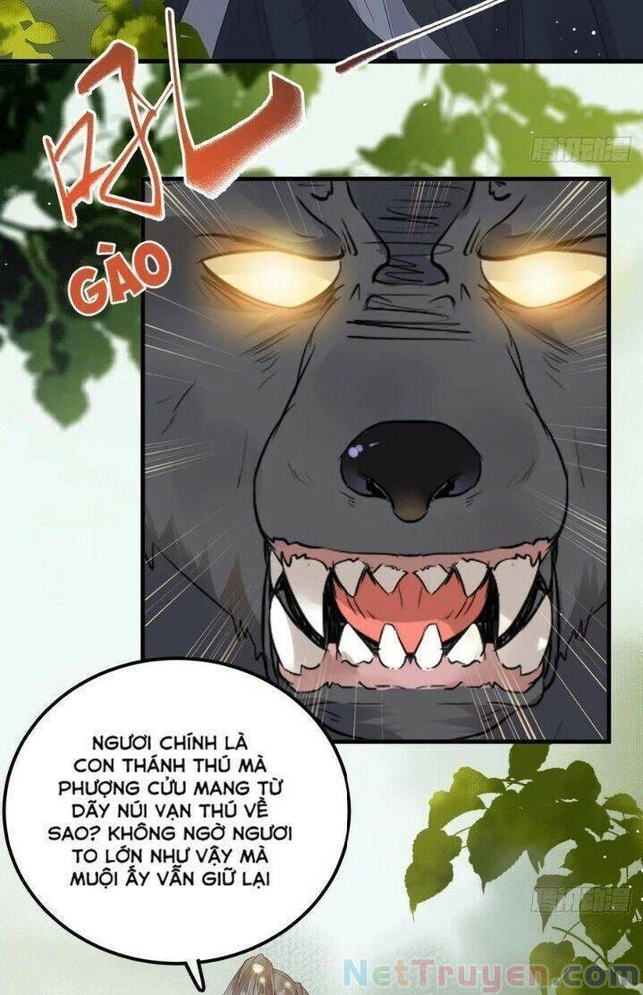 Tuyệt Sắc Quyến Rũ: Quỷ Y Chí Tôn - Chap 265