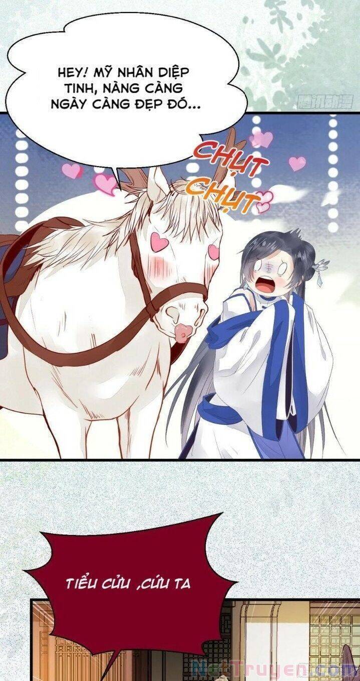 Tuyệt Sắc Quyến Rũ: Quỷ Y Chí Tôn - Chap 265