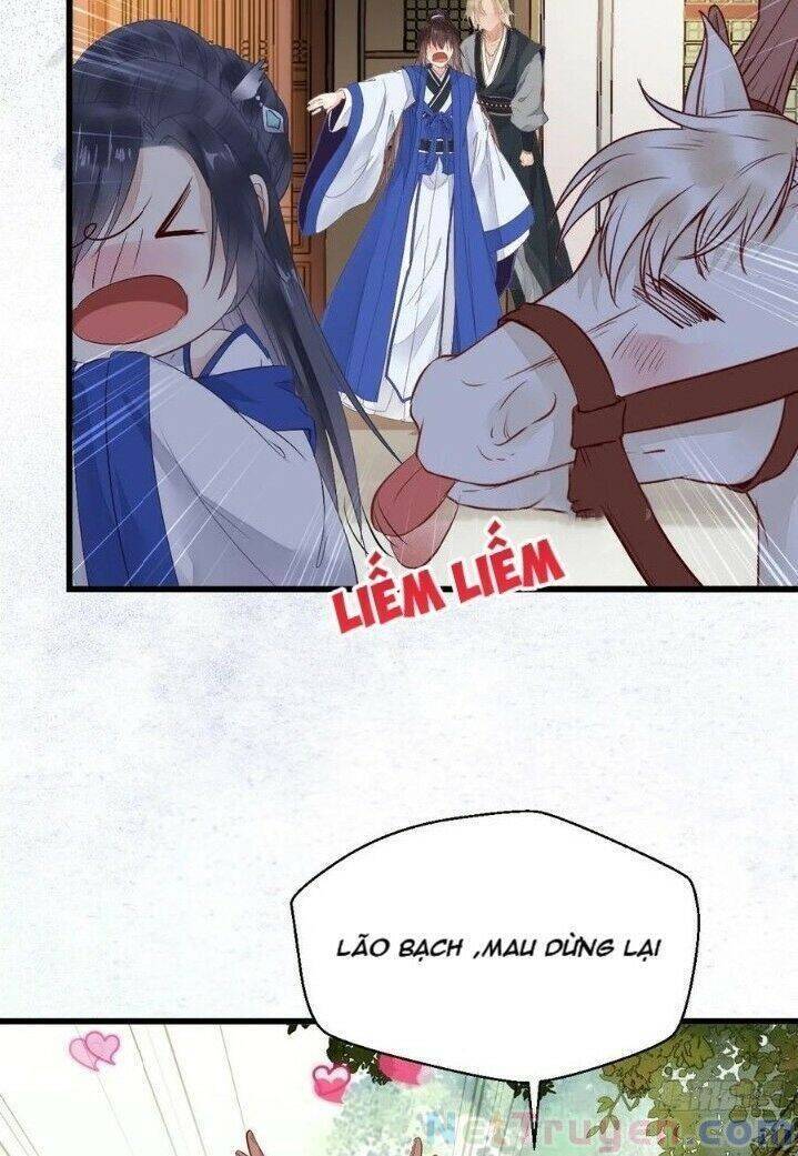 Tuyệt Sắc Quyến Rũ: Quỷ Y Chí Tôn - Chap 265