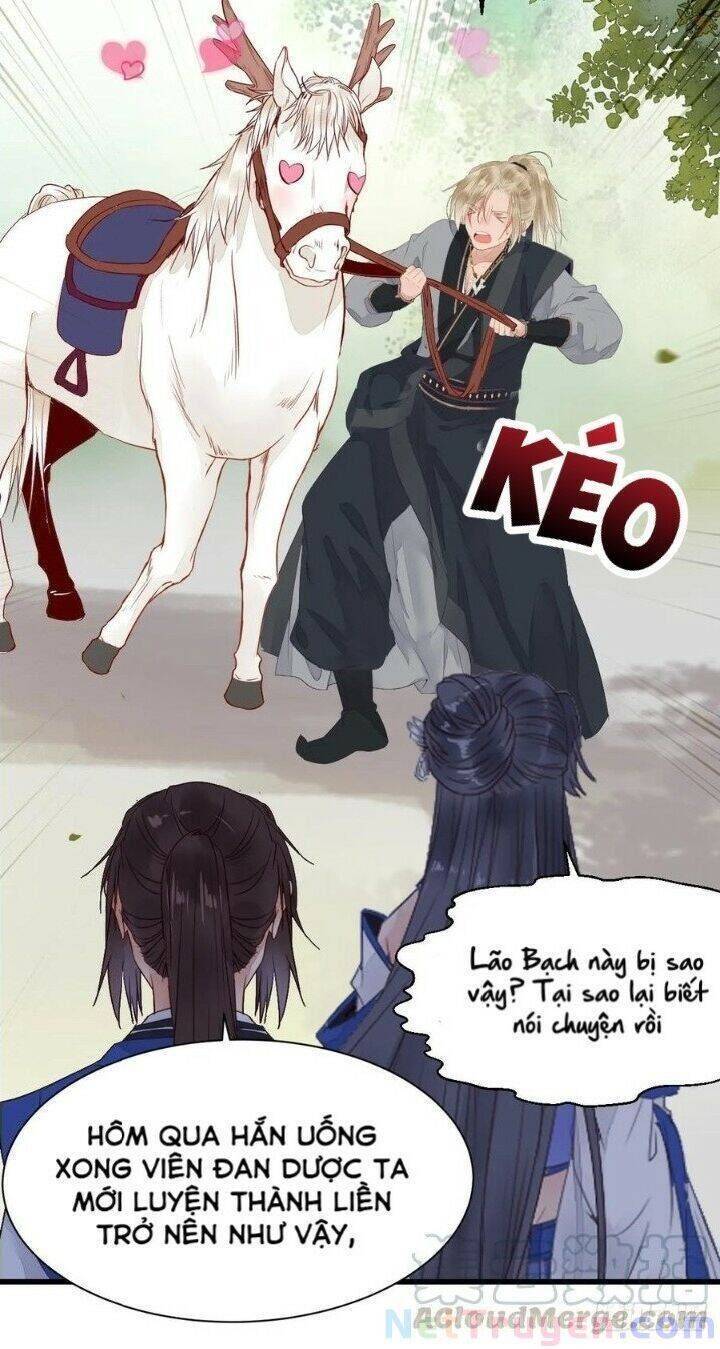 Tuyệt Sắc Quyến Rũ: Quỷ Y Chí Tôn - Chap 265