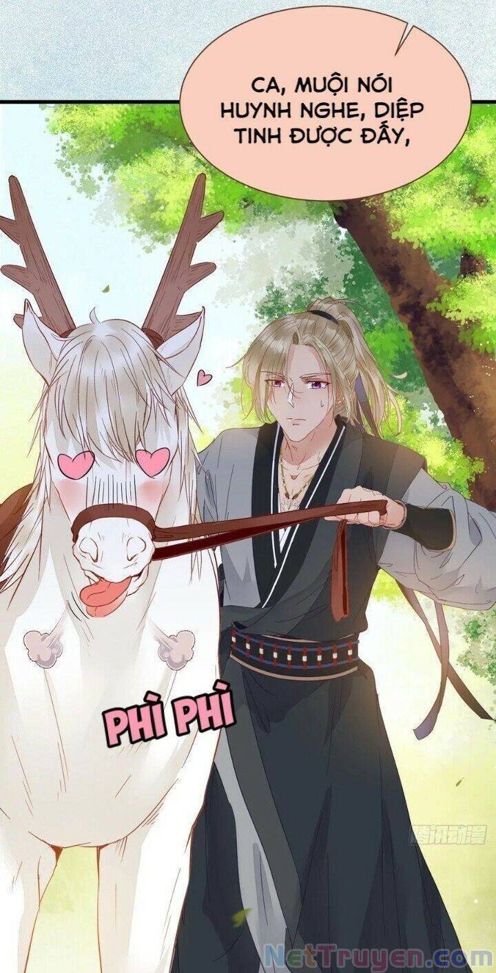 Tuyệt Sắc Quyến Rũ: Quỷ Y Chí Tôn - Chap 265