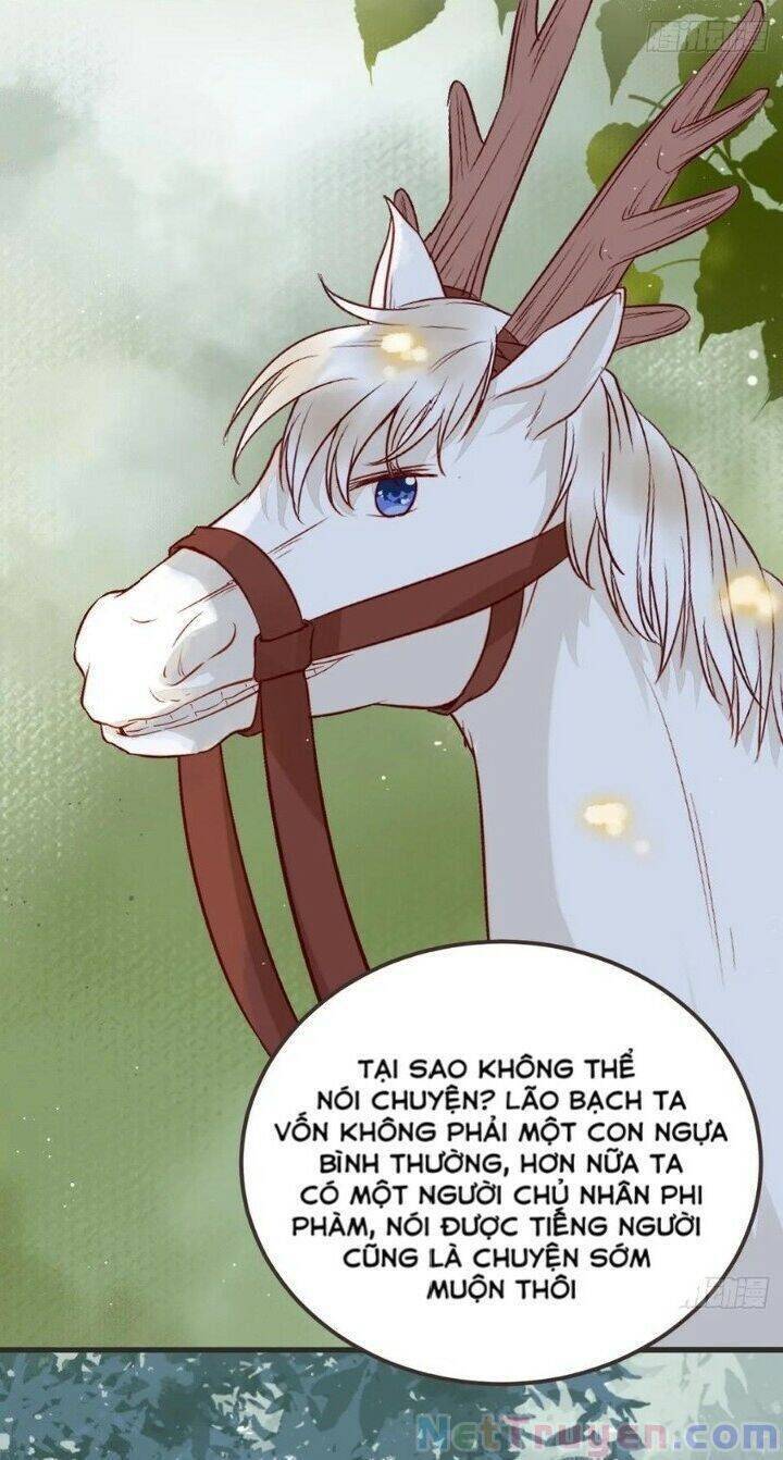 Tuyệt Sắc Quyến Rũ: Quỷ Y Chí Tôn - Chap 265