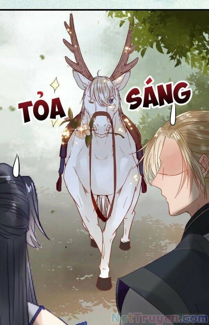 Tuyệt Sắc Quyến Rũ: Quỷ Y Chí Tôn - Chap 266