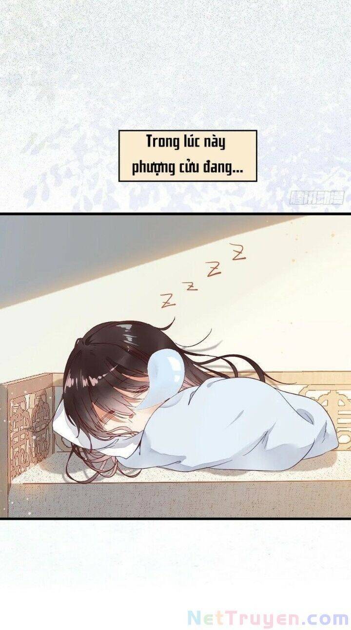 Tuyệt Sắc Quyến Rũ: Quỷ Y Chí Tôn - Chap 267