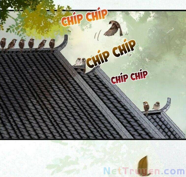 Tuyệt Sắc Quyến Rũ: Quỷ Y Chí Tôn - Chap 267