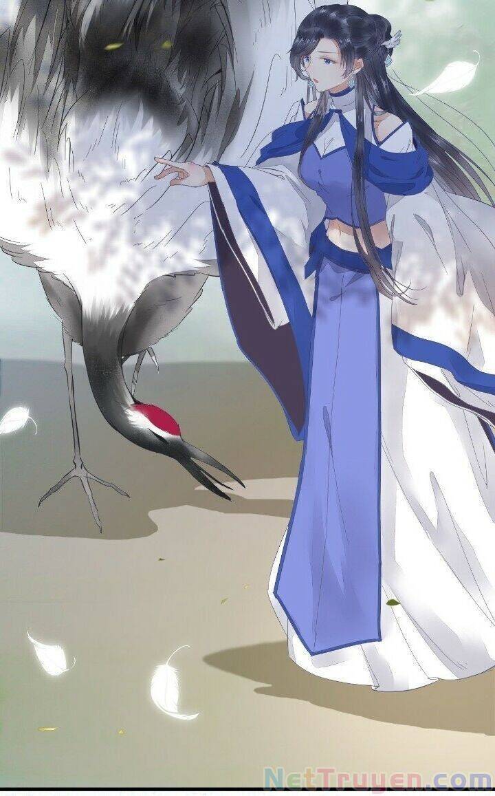 Tuyệt Sắc Quyến Rũ: Quỷ Y Chí Tôn - Chap 268