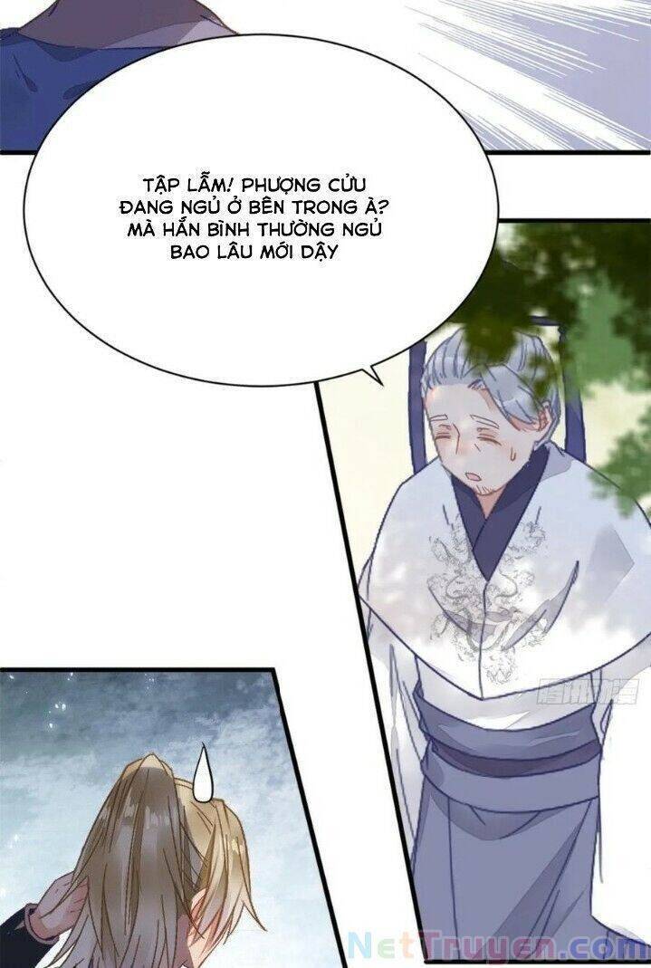 Tuyệt Sắc Quyến Rũ: Quỷ Y Chí Tôn - Chap 269